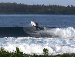 画像5: 【貴重なファブリックインレイ！】 DEADKOOKS/White Heart 5'3 1/2"美品！