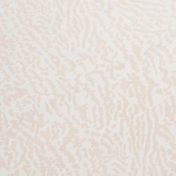 画像9: NEW!FCS　STRETCH  ALL PURPOSE 6’3