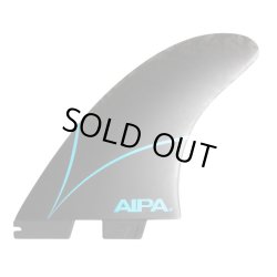 画像1: 【NEW!】FCSII  AIPA　TWIN + 1 (XL)