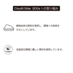 画像10: FREE WATERS / Cloud9 Slide　カラー：CAMEL
