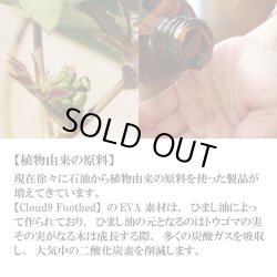 画像9: FREE WATERS / Cloud9 Ultra　カラー：BLACK