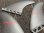 画像2: TERROR / "Carbon Fin" Thruster Futures  (2)