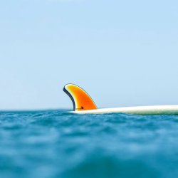 画像8: NEW!! FCSII MR(Mark Richard's Shaper Fin) '78 TWIN / Dark Sunset　