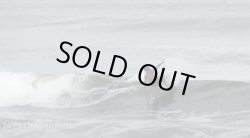 画像2: 【乗りやすいパフォーマンスツイン！】Serpent Sleds / Arachnid 5'6"28L 和光大使用 美品が激安！