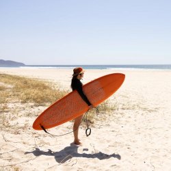 画像8: NEW!! Cord & Roy SUMMER TERRA HAT