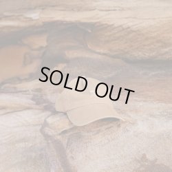 画像1: NEW!! Coastal Tan  Sun Cap