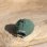 画像5: NEW!! Forest  Shade Green  Sun Cap (5)