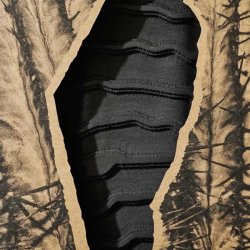 画像3: NEW!!  BRUSCO  Tailpad 5PCS / Black