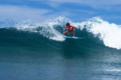 画像6: 【NEW!!】OCEAN GROM / 4'8 Micro Grom Leash "Fin(ブルー)"