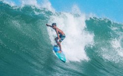 画像7: 【NEW!!】OCEAN GROM / 4'8 Micro Grom Leash "Fin(ブルー)"