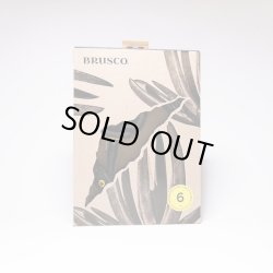 画像4: NEW!!  BRUSCO  LEASH / 6ft 5mm / Black