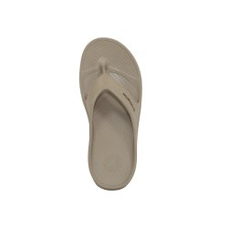 画像2: 2026 NEWモデル‼ FREE WATERS / Cloud9 Maxx / Taupe