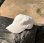 画像2: NEW!! SEA SALT  Sun Cap (2)