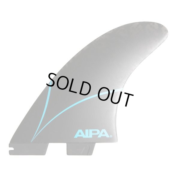 画像1: 【NEW!】FCSII  AIPA　TWIN + 1 (XL)