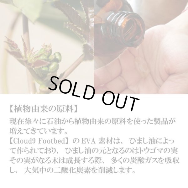 画像9: FREE WATERS / Cloud9 Ultra　カラー：BLACK