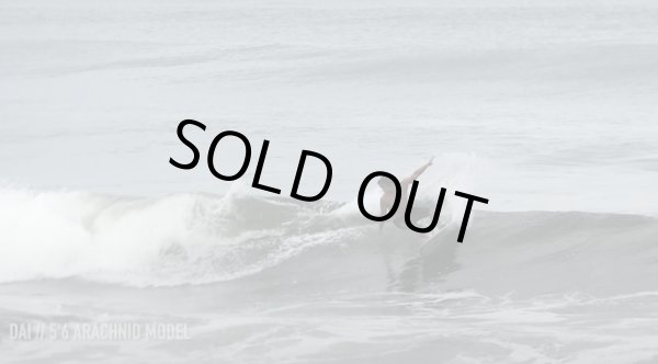 画像2: 【乗りやすいパフォーマンスツイン！】Serpent Sleds / Arachnid 5'4" アブストティント 新品激安！