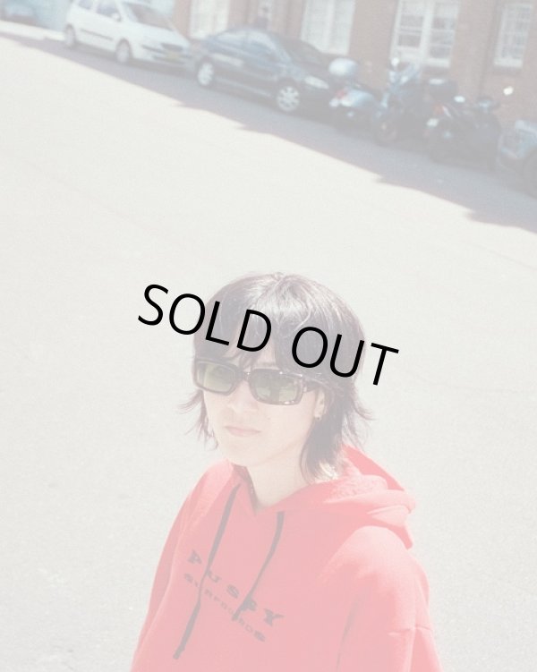 画像10: NEW!! RITUAL VISION   INTERCEPTOR：TOBACCO FADE / BRONZE POLARISED