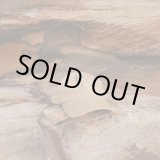 画像: NEW!! Coastal Tan  Sun Cap