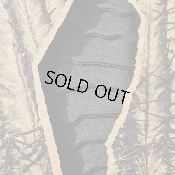 画像3: NEW!!  BRUSCO  Tailpad 5PCS / Black