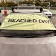 画像8: New! BEACHED DAYS Magnetic Beach Towel / OLIVE