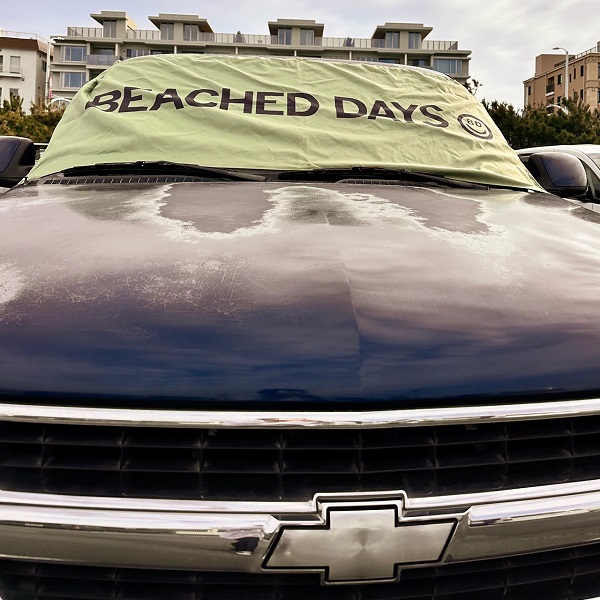 画像9: New! BEACHED DAYS Magnetic Beach Towel / OLIVE